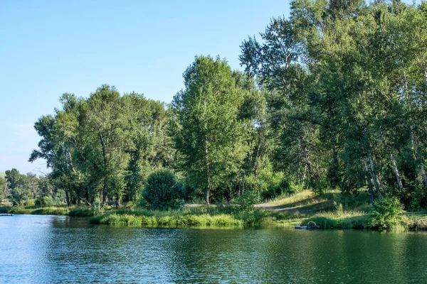 Una Hermosa Vista Del Río Rodeado Árboles Verano — Foto de Stock
