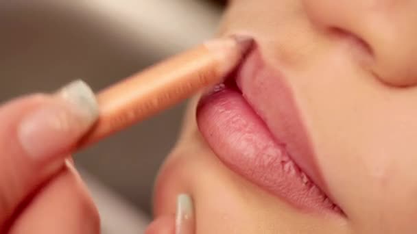 Mulher aplicando lábio rosa — Vídeo de Stock