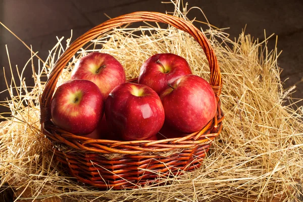 Корзина с яблоками, лежащими в сене — стоковое фото