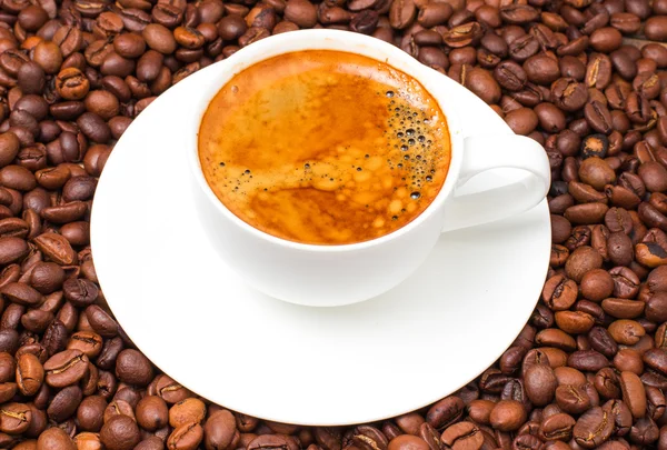 Cup of coffee on coffee beans Stock Image