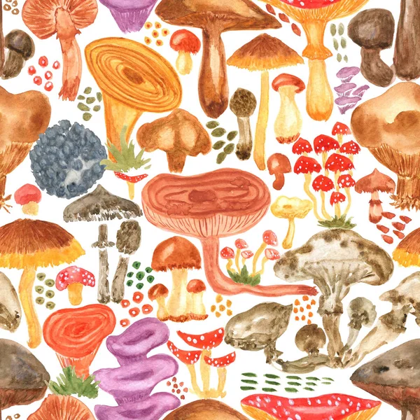 Colorful watercolor mushrooms seamless  pattern.  Hand Illustration for creating fabrics, wallpapers, gift wrapping paper, invitations, textile, scrapbooking.  Isolated on white background.