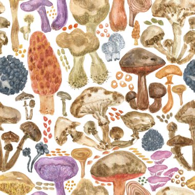 Renkli suluboya mantarlar dikişsiz desen. Kumaş, duvar kâğıdı, hediye ambalajı, davetiye, tekstil, koleksiyon defteri yaratmak için el çizimi. Beyaz arkaplanda izole.