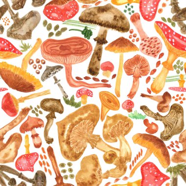 Mantarlı kusursuz suluboya arka plan. Kumaş, duvar kâğıdı, hediye ambalajı, davetiye, tekstil, koleksiyon kitabı yapmak için desen. Beyaz arkaplanda izole.