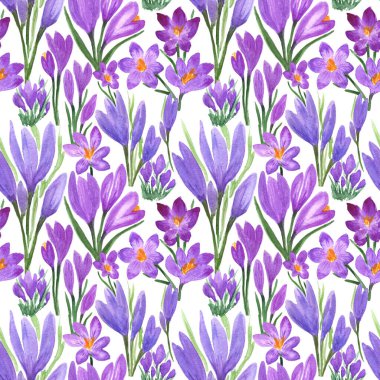 Su klonu rengarenk bahar çiçeklerinin pürüzsüz deseni. Kumaş, tekstil, dekupaj, duvar kâğıtları, baskı, hediye paketi, davetiyeler, tekstil.