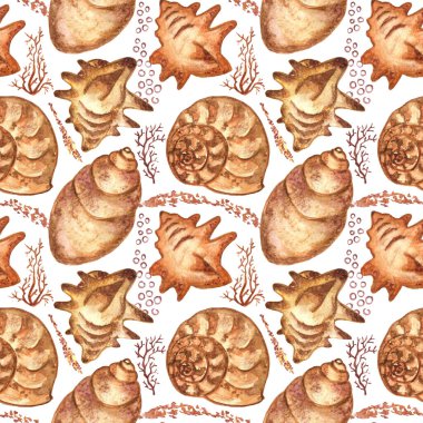 Deniz kabukları ve mercanlarla donatılmış. Suluboya kusursuz desen. Kumaş, tekstil, dekupaj, duvar kağıtları, baskı, hediye paketleme kağıdı, davetiyeler, tekstil, düğün ve web tasarımı için mükemmel.