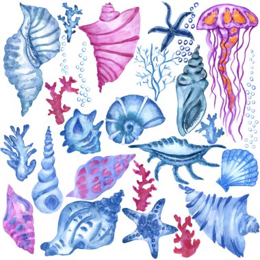 A set of drawings of corals and seashells for the marine background. Watercolor illustration. Isolated on white background.  clipart