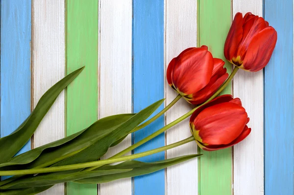 Bouquet of red tulips and colorful wooden strips — Stock Photo, Image