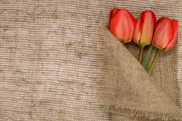 Bouquet of red tulips on burlap background — Stock Photo, Image