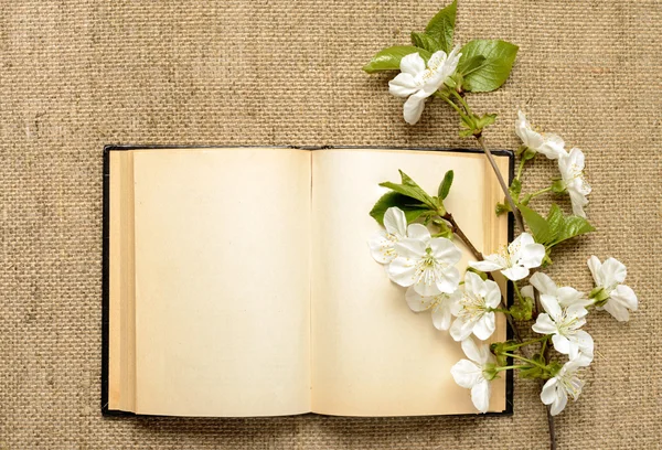 Ramo florido de cereja e livro aberto sobre fundo de serapilheira — Fotografia de Stock