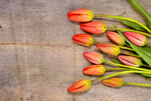 Buquê de tulipas vermelhas no fundo de madeira — Fotografia de Stock