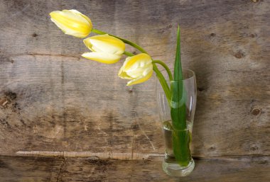 Ahşap arka plan üzerinde cam vazoda üç Sarı laleler