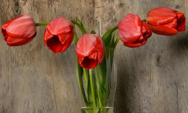 Buquê de tulipas vermelhas no vidro no fundo de madeira — Fotografia de Stock