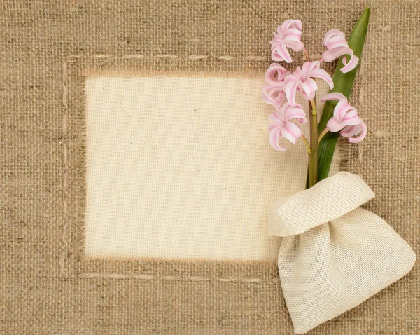 Delicate pink hyacinth on a background framework of coarse burlap with space for text — Stock Photo, Image