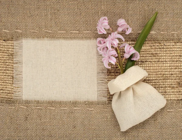 Delicate pink hyacinth on a background framework of coarse burlap with space for text — Stock Photo, Image