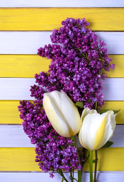 Two yellow tulips, lilac flowers and colored wooden background — Stock Photo, Image