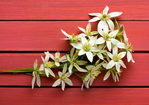 Buquê de flores brancas e fundo de madeira colorido — Fotografia de Stock