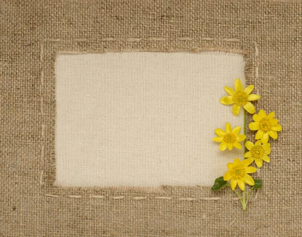 Yellow flowers, green grass and burlap frame with space for text — Stock Photo, Image