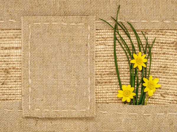 Желтые цветы, зеленая трава и мешковина рамка с местом для текста — стоковое фото