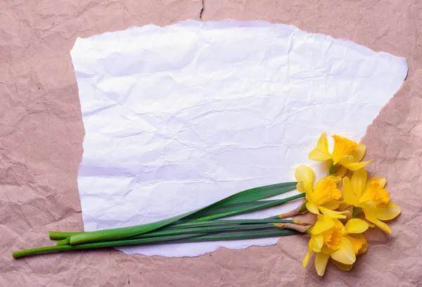 Bouquet of yellow daffodils on crumpled paper with space for text — Stock Photo, Image