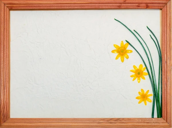 Flores amarelas, grama verde em papel brilhante em uma moldura de madeira com espaço para texto — Fotografia de Stock