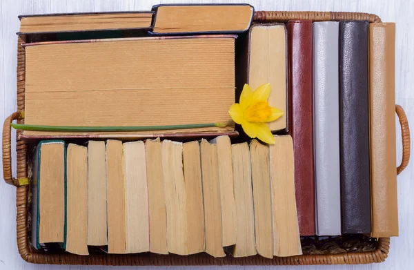 Pilha de livros e narciso na bandeja de madeira de vime — Fotografia de Stock