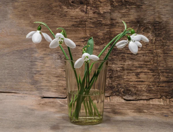 Bouquet of snowdrops in a glass — Stock Photo, Image