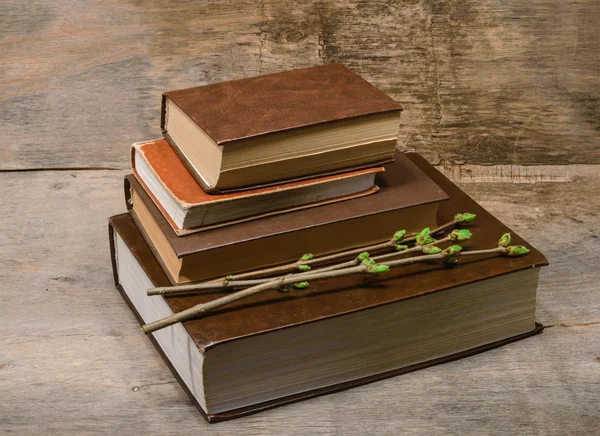 Pilha de livros e um ramo com folhas verdes jovens — Fotografia de Stock