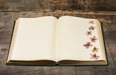 Açık kitap ve preslenmiş çiçek