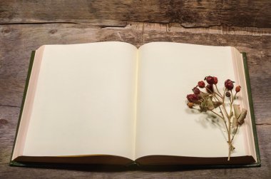 Açık kitap ve preslenmiş çiçek