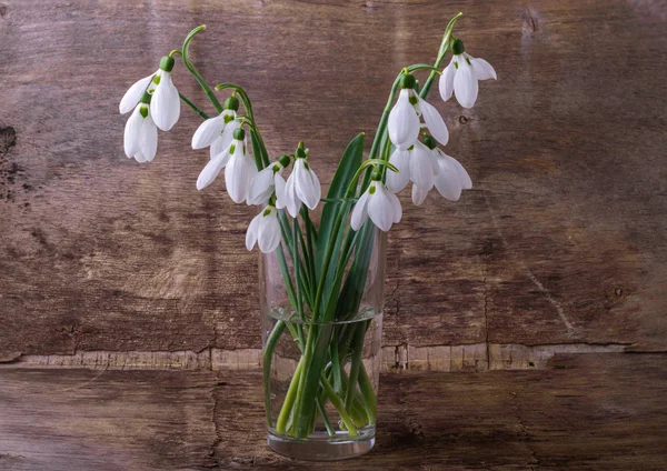 Bouquet de gouttes de neige dans un verre — Photo