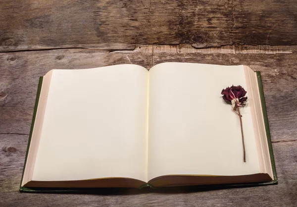 Açık kitap ve preslenmiş çiçek