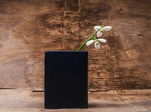 Snowdrops and book — Stock Photo, Image