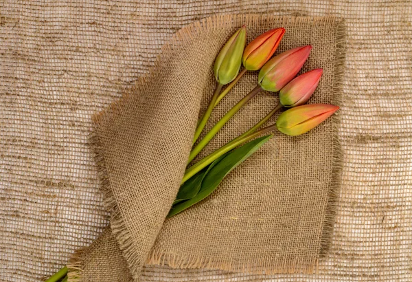 Bouquet of red tulips on burlap background — Stock Photo, Image