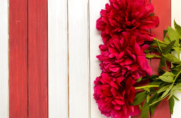 Three burgundy peonies  on striped wooden surface — Zdjęcie stockowe