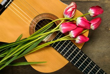 Gitar ve ahşap zemin üzerine lale