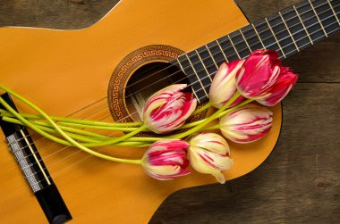 Gitar ve ahşap zemin üzerine lale