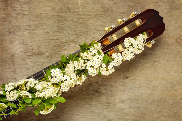 Neck of the guitar and white flowers — Stock Photo, Image