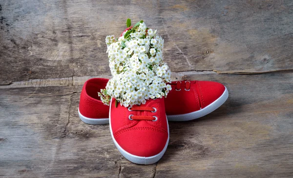 Red sneakers and  small white flowers on the wooden background — Stock Photo, Image