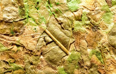 Suluboya arka plan, el yapımı kağıt