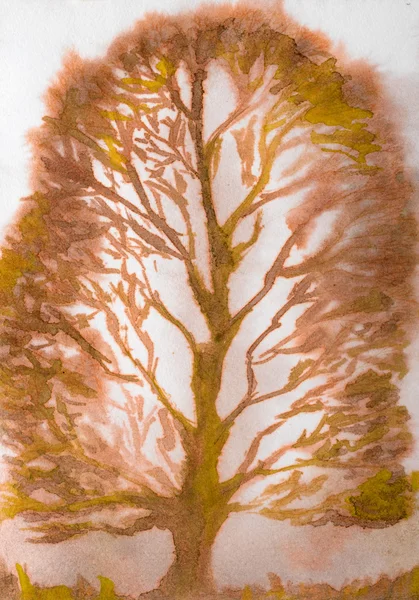 Arbre aquarelle — Photo