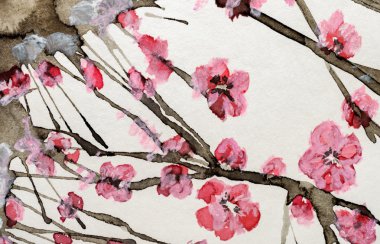 Suluboya pembe çiçekler