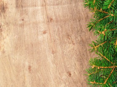 ahşap arka plan ağaç dallarında