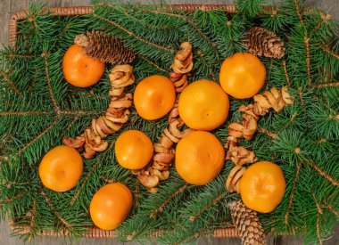 portakal mandalina, kurutulmuş elma ve köknar şube