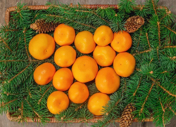 Orange tangerine and spruce branches — Stock Photo, Image