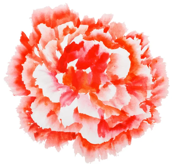 Rote Pfingstrosenblüte. Aquarellmalerei. Styling chinesischer Malerei. — Stockfoto