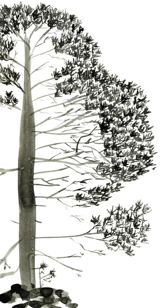 松の木は、白い背景で隔離。中国のスタイルで描画インク. — ストック写真