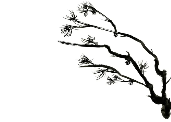 白色背景与文本的空间上分离的松树枝。油墨中的中国样式的绘图. — 图库照片