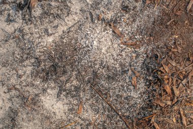 Kuru ot, kavram ya da proje için arka plan yandı