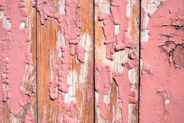 eski kurulları doku arka kapı yontma boya