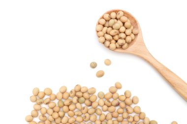 soy beans clipart